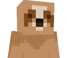 Duckster745's skin