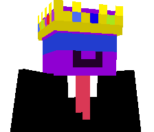 S1mpleP1xel's skin