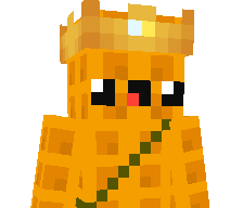 Wafflekingplayz's skin