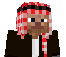 TheDragnir69's skin