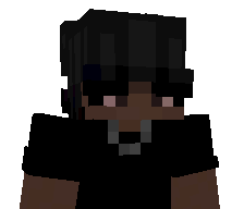 FakeLayer's skin