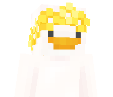 quackeez's skin