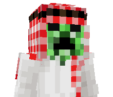 Ryziii's skin
