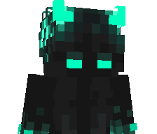 Mr_black_'s skin
