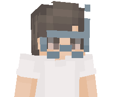 HCXR's skin