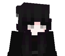1293's skin
