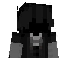 ZX_MC's skin