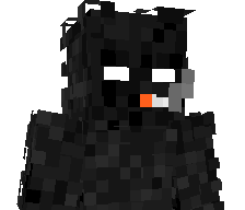 D4KISHA's skin
