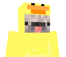 DatPugz's skin