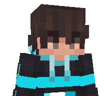 NotVasa's skin