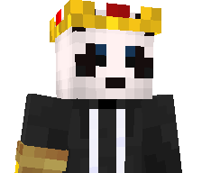 Pandab333's skin