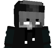 NoComboHitter's skin