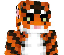 357im's skin
