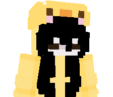 akwp's skin