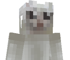 CakeCat134's skin