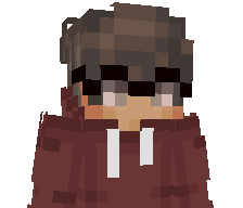 nobricks_'s skin
