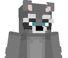 St00ck's skin
