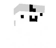 Maruniak's skin
