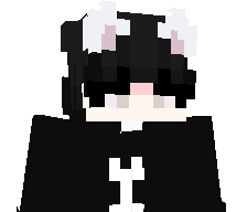 shototodo2511's skin