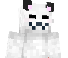 5mug's skin