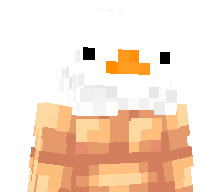 Teriyakis's skin