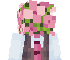 Akagix's skin