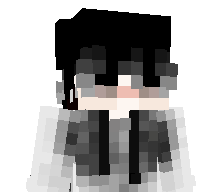 L1v9's skin