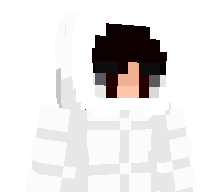leitooo_07's skin