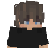 Validise_'s skin