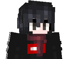 STAR_STR13's skin