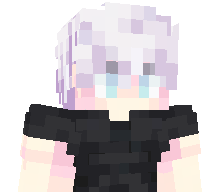 WL11MC's skin