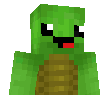 Tortoche's skin