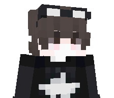 Zeldie2011's skin