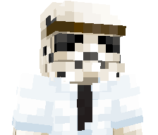 PvpPenguin's skin