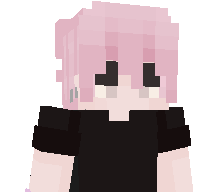NotBlattZ's skin