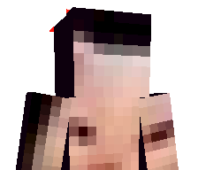 Mokrykicius's skin
