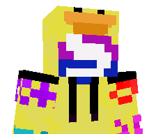 SocketSct's skin
