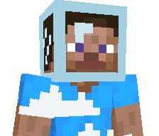 tok3n__'s skin