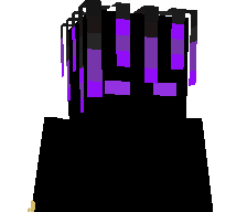 ICDL's skin