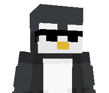 xEverest's skin