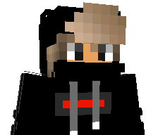 ttvbeeboybuzz's skin