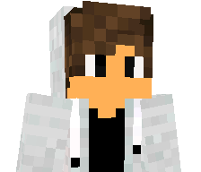 receipes's skin