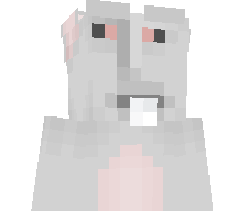 CyberMuffin42's skin