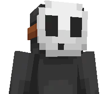 Philipp2411w's skin