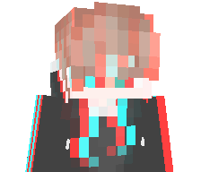 AssassinDropKick's skin