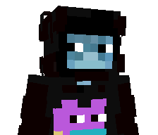 Nightf0xyy's skin