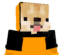 Narf21's skin