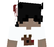SchaapBram's skin