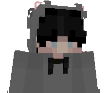 H069's skin