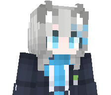 MiniWorldChe4ter's skin